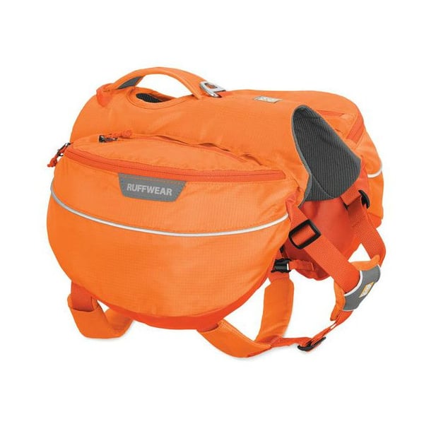 What's the Best Dog Backpack? Reviews From Real Adventure Dogs
